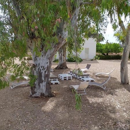 Terreamare Agriturismo Porto Cesareo Exteriör bild