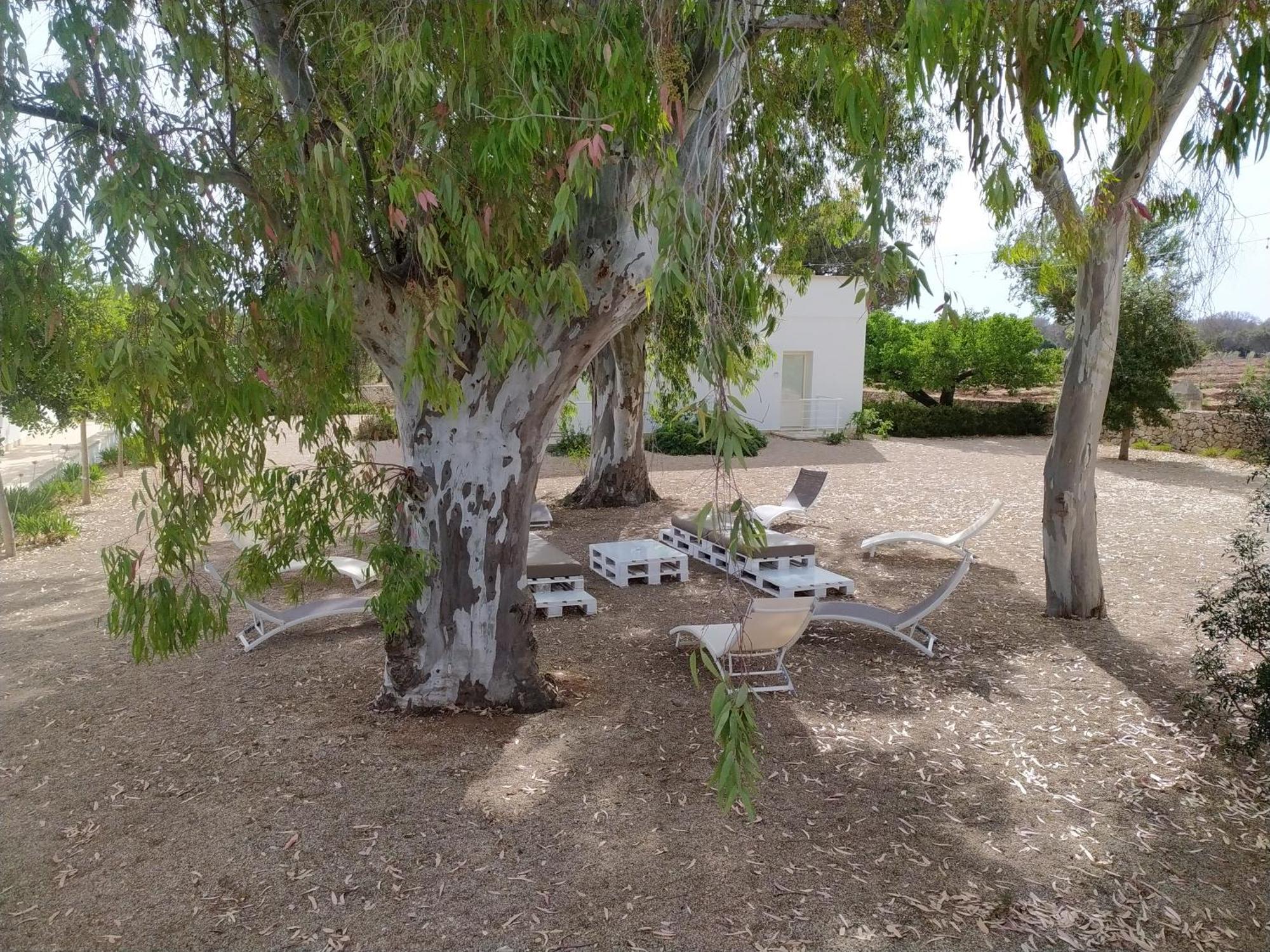 Terreamare Agriturismo Porto Cesareo Exteriör bild